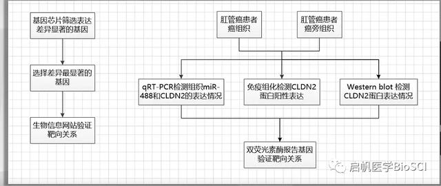 生物醫(yī)學(xué)實(shí)驗(yàn)方案設(shè)計大全，讓你課題脫穎而出（生物實(shí)驗(yàn)設(shè)計專題）