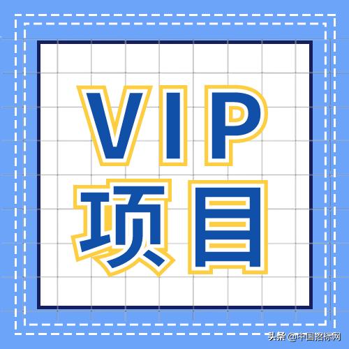 「VIP項(xiàng)目」物業(yè)管理服務(wù)項(xiàng)目（物業(yè)公司vip服務(wù)項(xiàng)目）