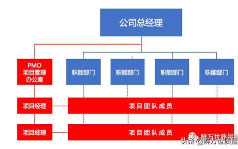 采用矩陣式項(xiàng)目開發(fā)模式，是否還需要建立PMO項(xiàng)目管理辦公室？（項(xiàng)目管理辦公室pmo實(shí)踐指南）