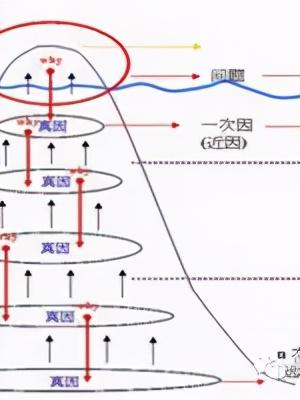 「精益學堂」5S管理｜整合版（精益5s管理書籍）