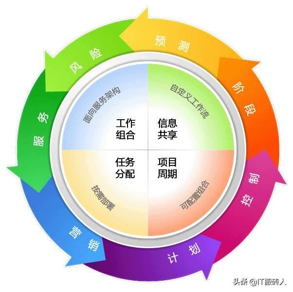 淺談信息化項目的項目管理（淺談信息化項目的項目管理論文）