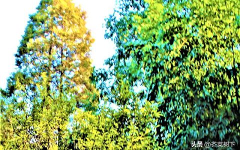 留住客戶，重點(diǎn)找對(duì)了嗎？（留住客戶,重點(diǎn)找對(duì)了嗎怎么說）